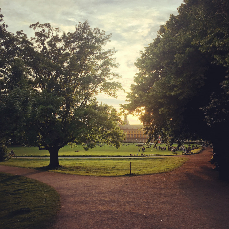 Sonnenuntergang über dem Hofgarten Bonn