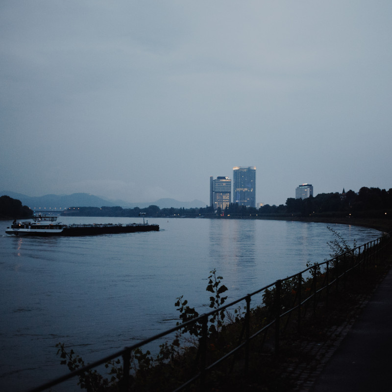 Rhein im Nebel