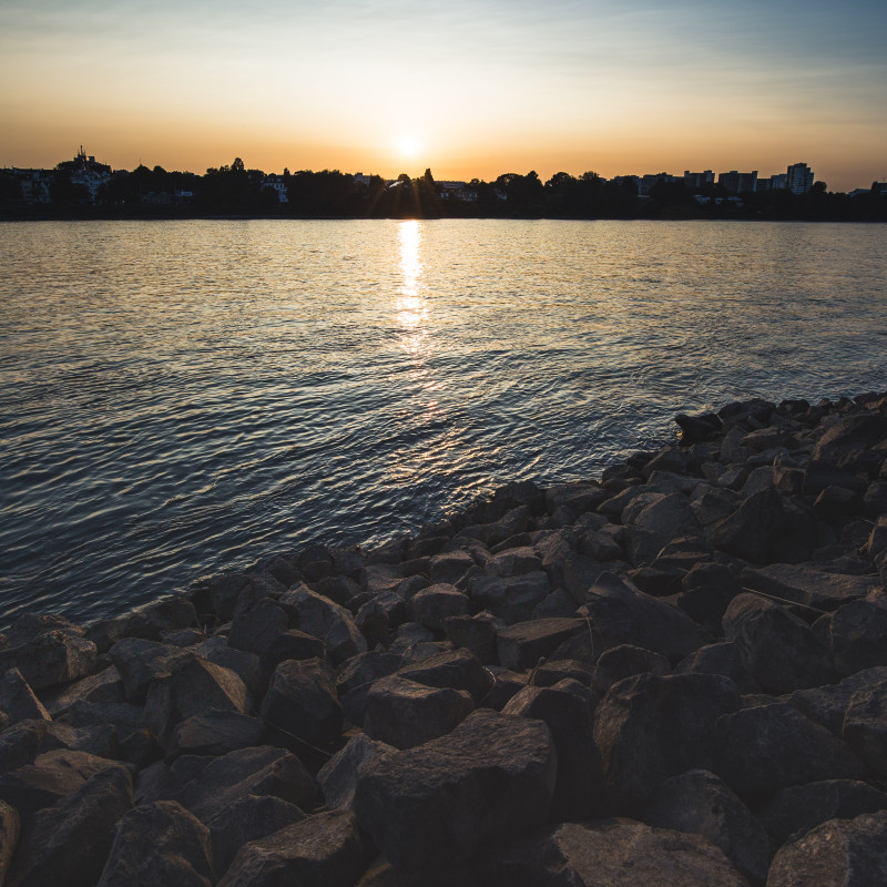 Sonnenuntergang Rhein Bonn