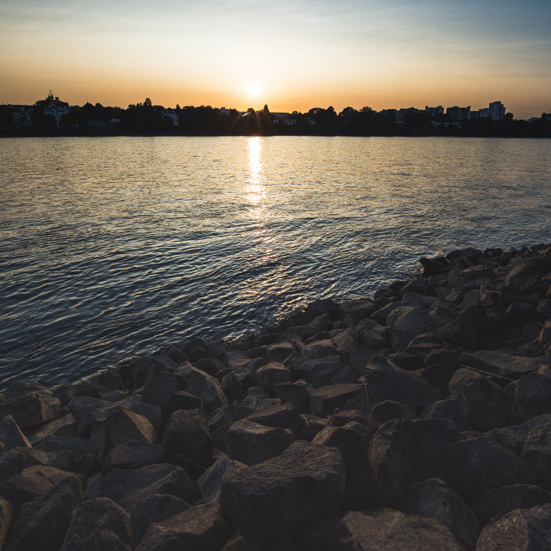 Sonnenuntergang Rhein Bonn