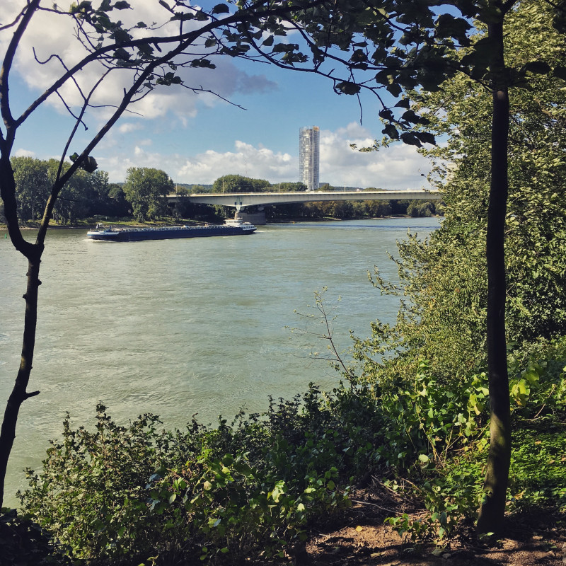 Schiff auf dem Rhein