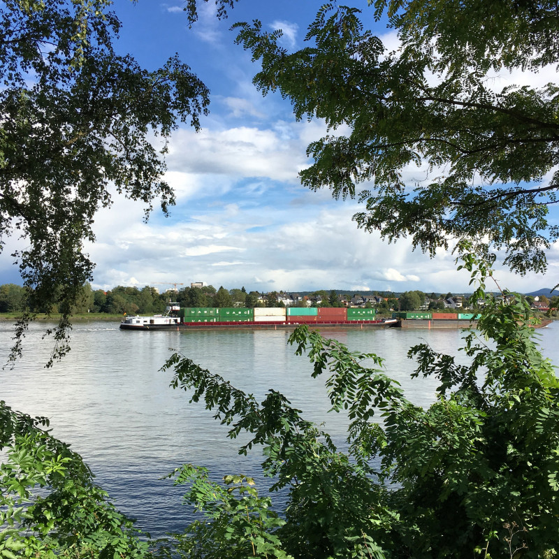 Schiff auf dem Rhein