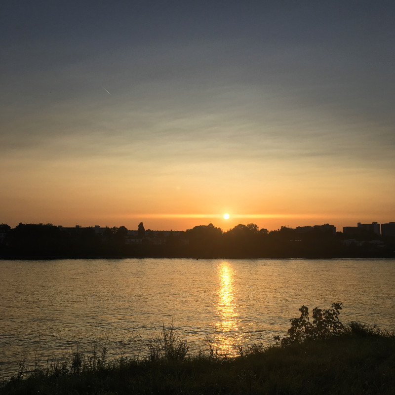 Gegenlicht Sonnenuntergang