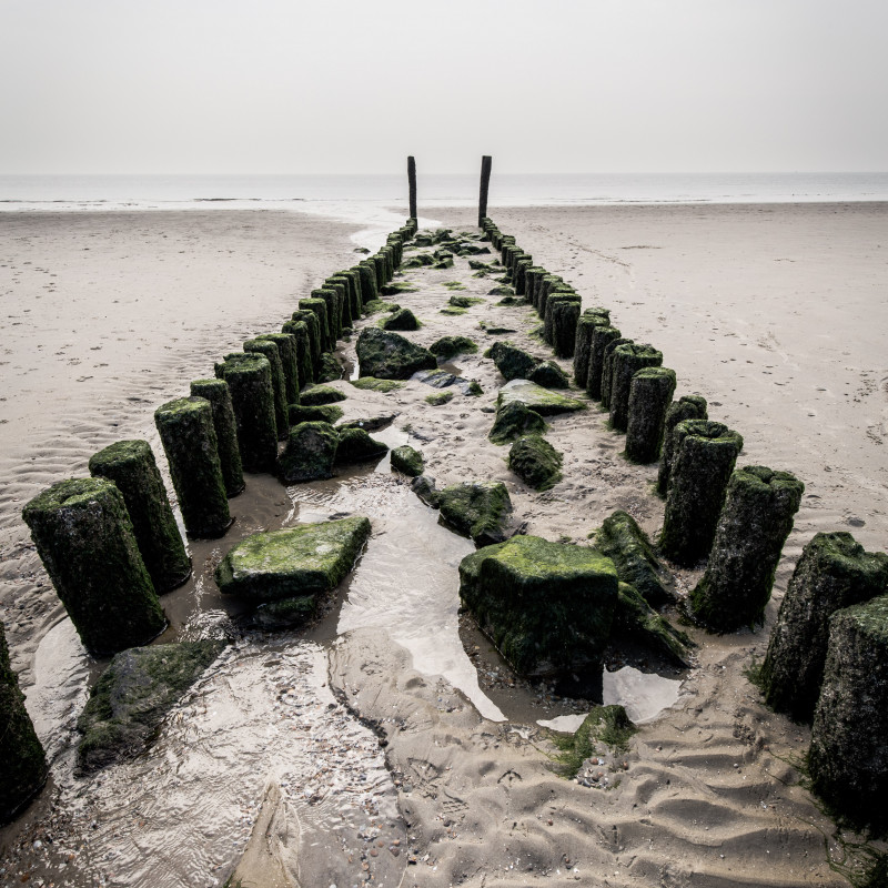 Pfähle im Meer