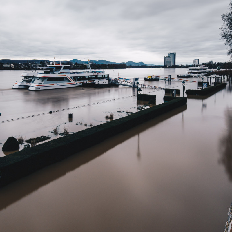 Überschwemmtest Rheinufer. Im Hintergrund ein Ausflugsschiff.