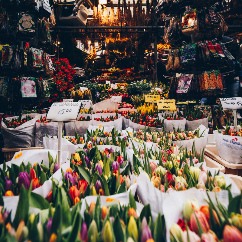 Blumen in Amsterdam.