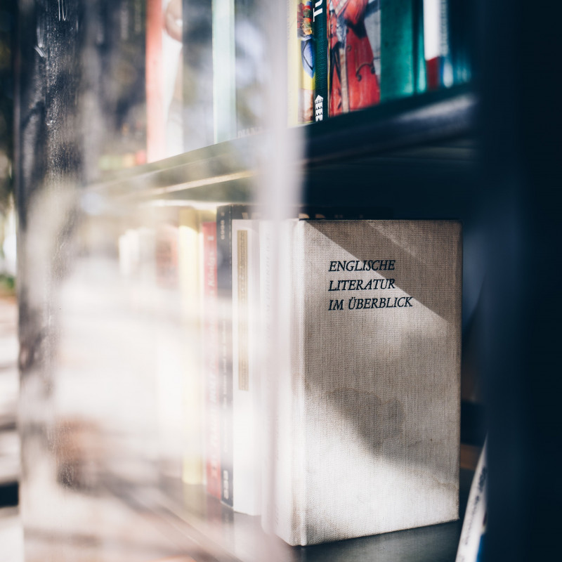 Blick in den Bücherschrank.