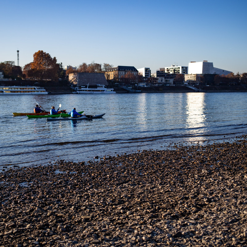 Drei Kayakfahrer auf dem Rhein.