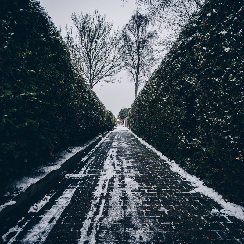 Ein Fußweg zwischen Büschen.