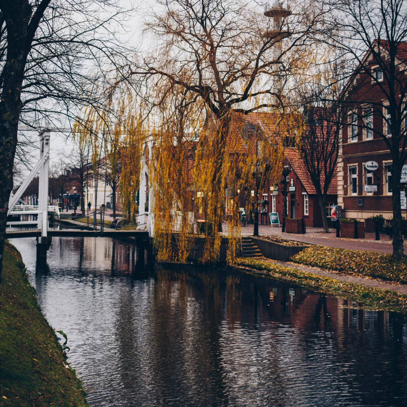 Ein Baum über einem Kanal.