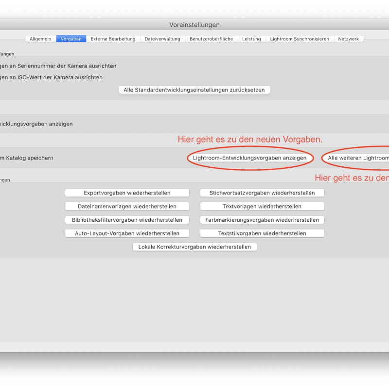 Screenshot des Voreinstellungen-Dialogs in Lightroom Classic CC.