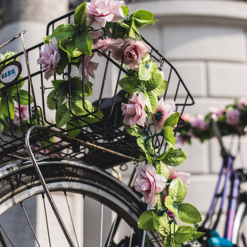 Blumen an einem Fahrradkorb.