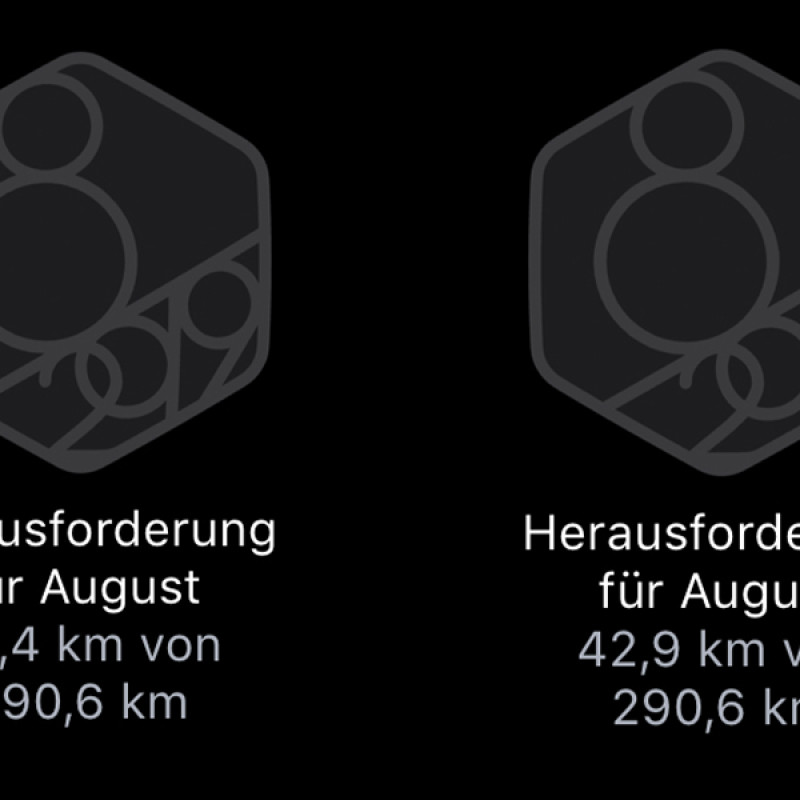Fortschritt meiner Herausforderungen: 13, 22, 42 und 59 Kilometer.