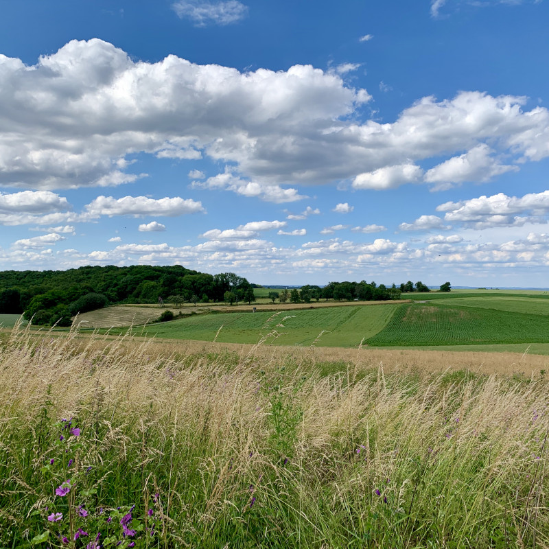 Wolken an blauem Himmel über grünen Feldern.