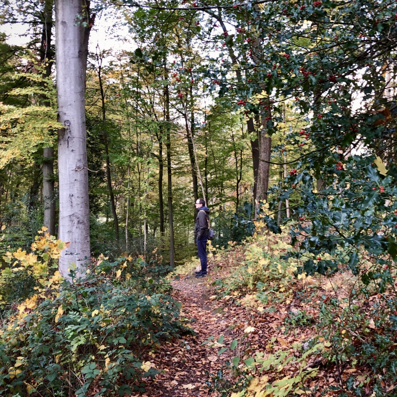 Martin steht im Wald.