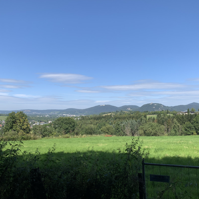 Eine grüne Wiese, im Hintergrund das Siebengebirge.