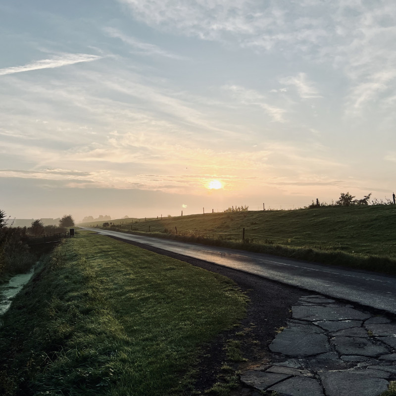 Sonnenaufgang über dem Deich.