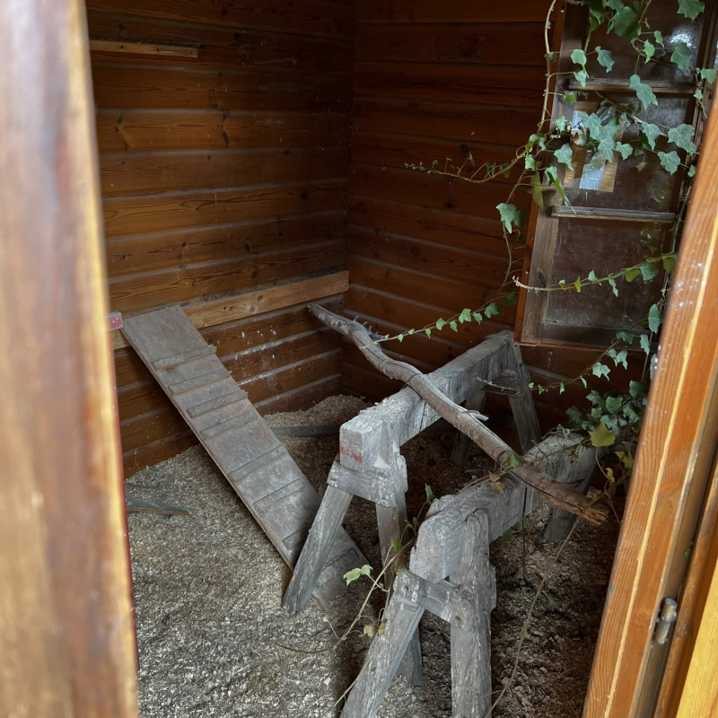 Zwei Holzböcke in einem sehr schmutzigen Holzhaus.