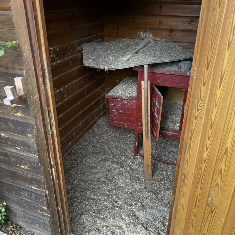 In einem Holzhaus steht ein Hühnerhaus, es liegt Sägemehl auf dem Boden.