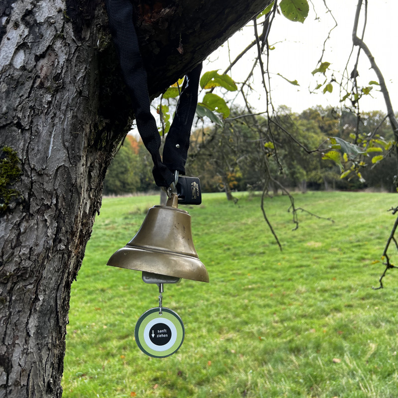 Eine Glocke hängt an einem Baum.