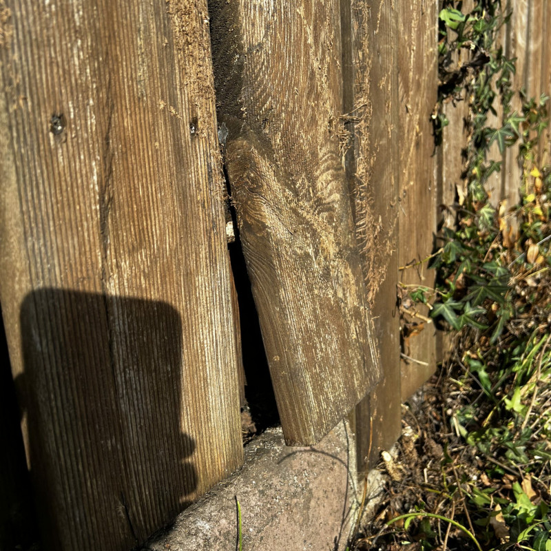 Ein verbogenes Holzbrett am Zaun.