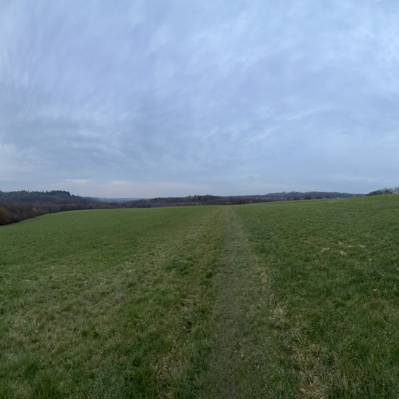 Panorama-Aufnahme eines weiten grünen Feldes bei bedecktem Himmel. Ringsherum ist Wald.