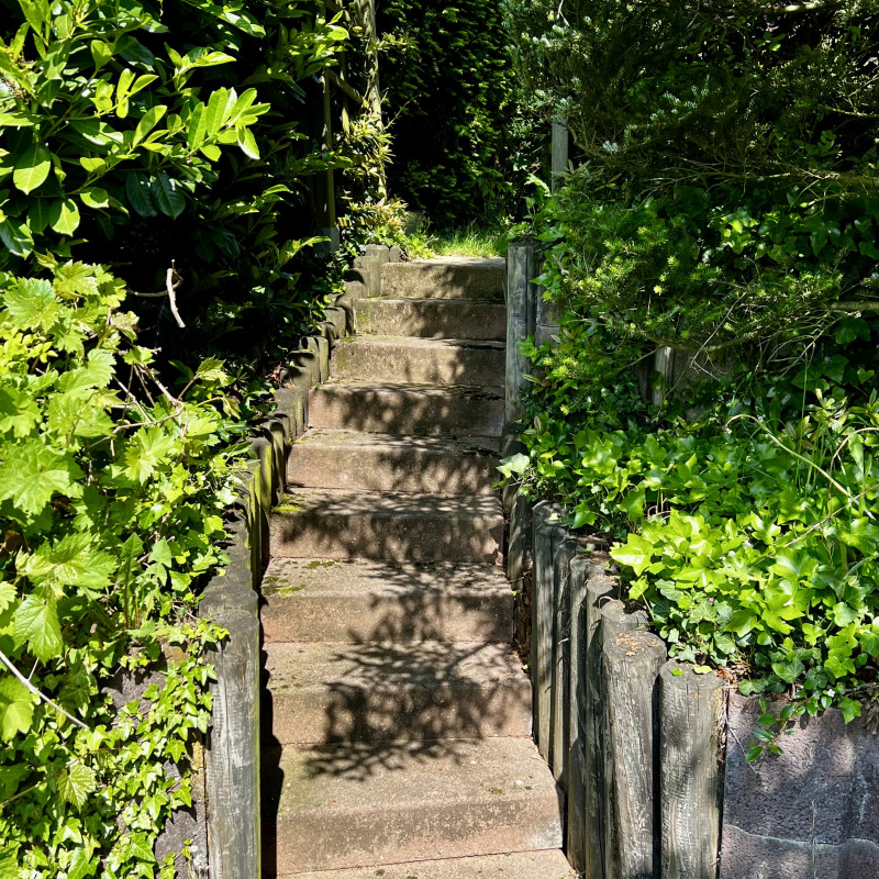 Eine steinerne Treppe führt zwischen allerlei Buschwerk nach oben. Links und rechts ist sehr viel Efeu zu sehen.