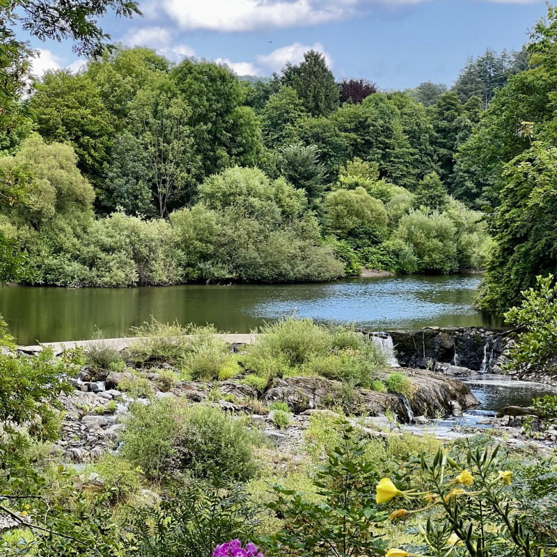 Viele grüne Pflanzen rund um den Fluss und einen kleinen Wasserfall.