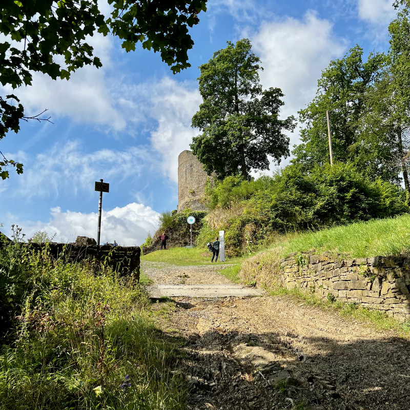 Der Turm einer Burgruine und Bäume vor blauem Himmel.