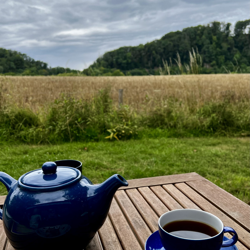 Eine Tasse Kaffee, eine blaue Teekanne und eine Zimtschnecke auf einem Holztisch vor einer grünen Wiese. Im Hintergrund ein Feld und Wald.