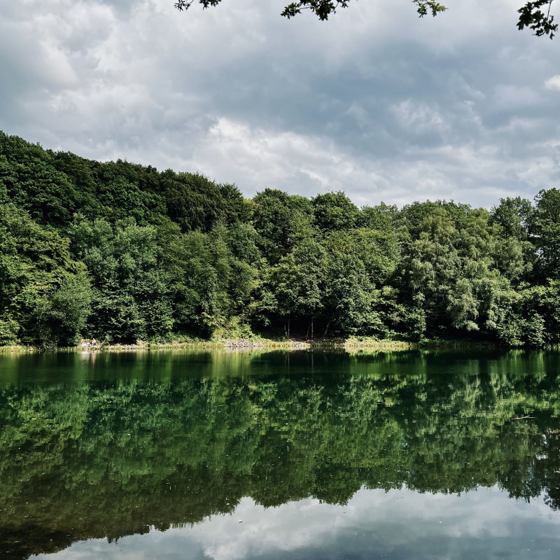 Ein sehr grüner Wald spiegelt sich in einem See.