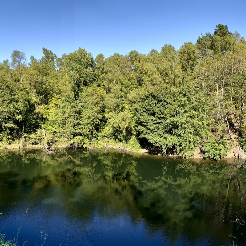 Panoramablick über den Dachsberger See mit vielen grünen Bäumen.