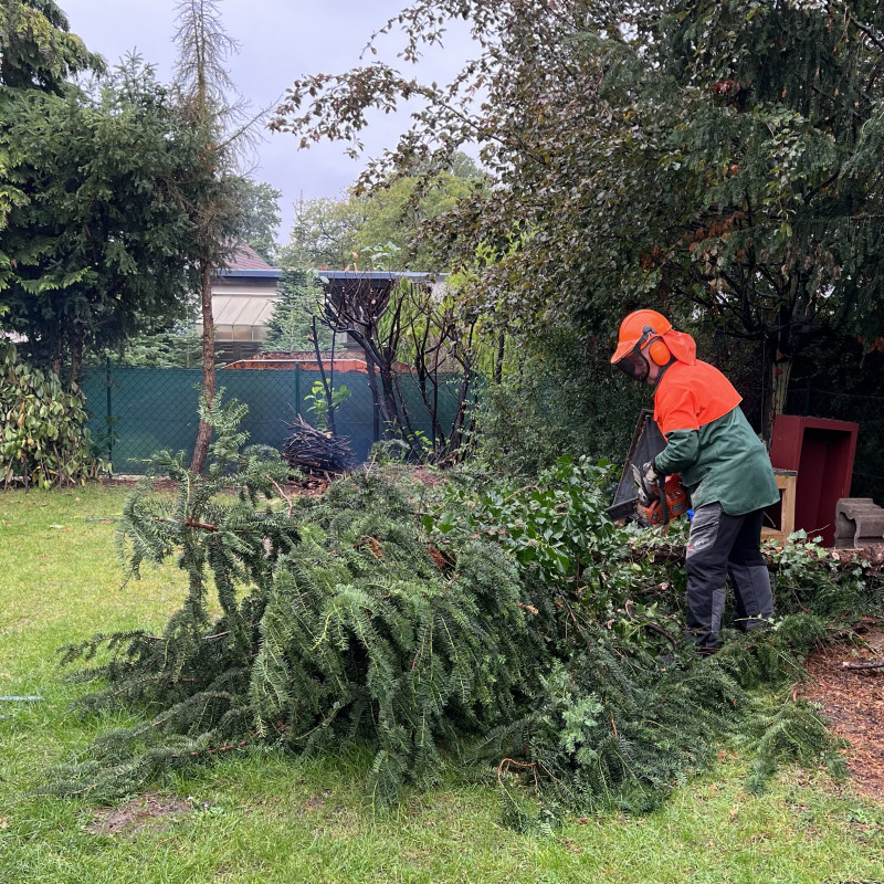 Ein Mann in Schutzkleidung zersägt einen Baum.