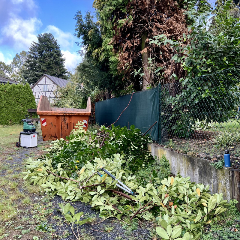 Ein großer Haufen abgeschnittener Äste und ein orangener Container im Hintergrund.