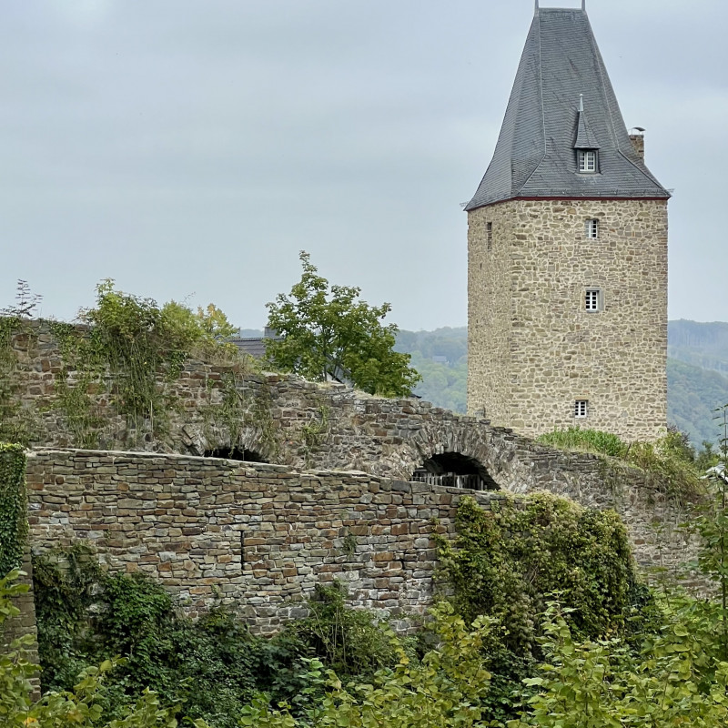 Ein Burgturm hinter einer bewachsenen alten Stadtmauer.