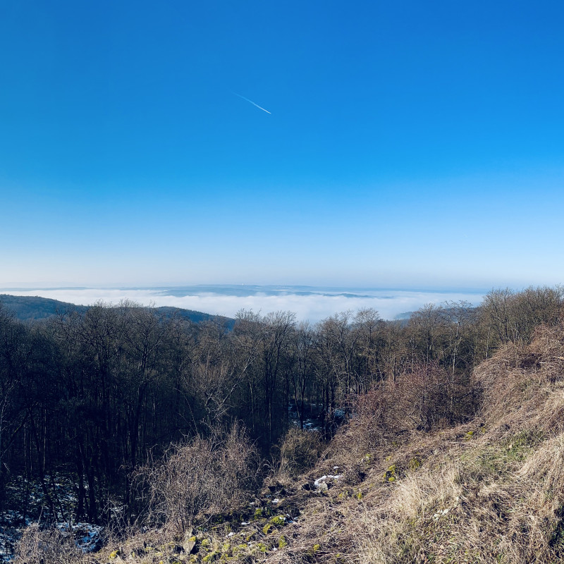 Panorama-Blick in das wolkengefüllte Rheintal. Der Himmel ist blau, die Sonne scheint. Im Vordergrund ist Wald.