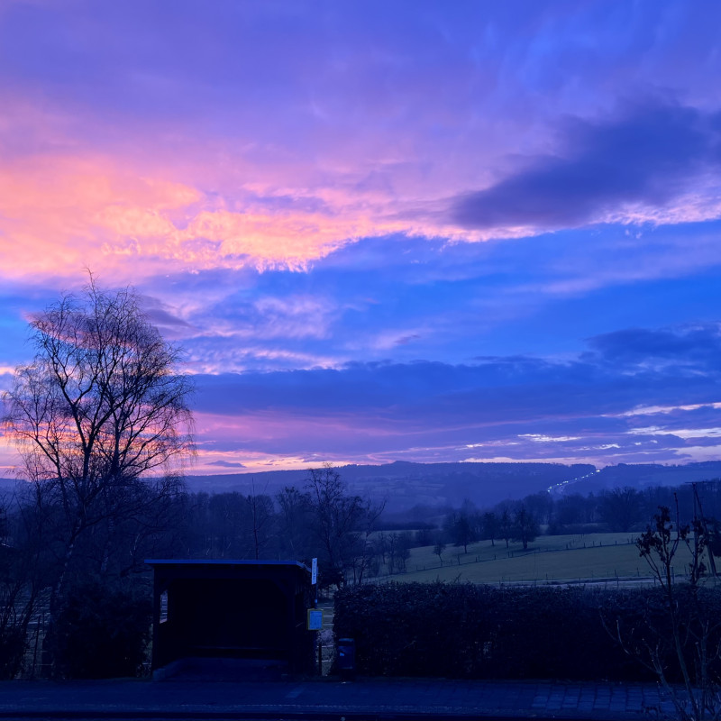 Blau-rosa-gelber Sonnenaufgang über dem Siebengebirge. Man sieht die Silhuette einiger Bäume und einer Bushaltestelle.