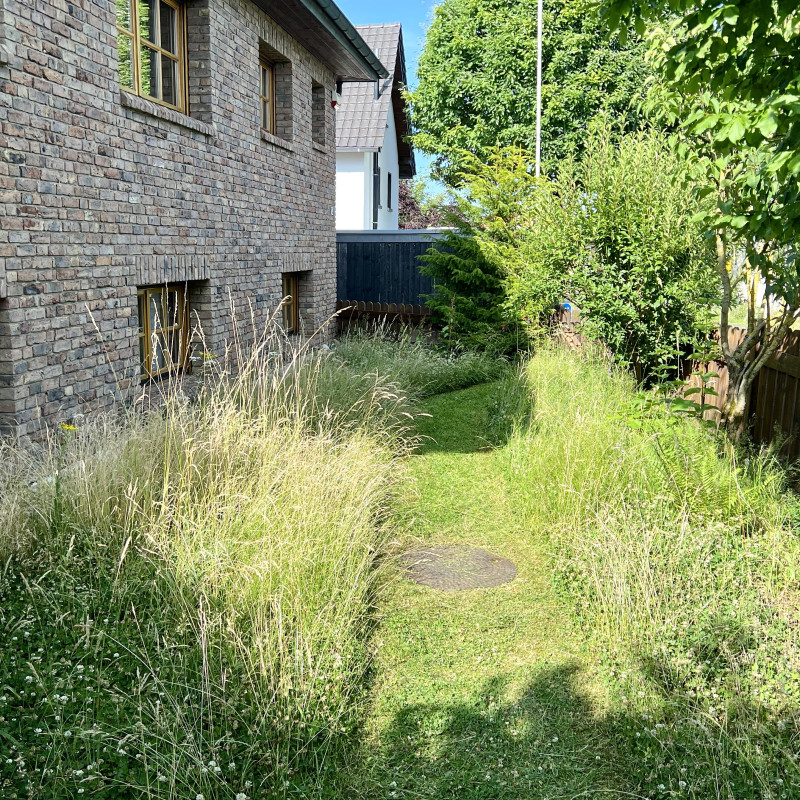 Eine hoch gewachsene Wiese vor einem verklinkerten Haus. Es wurde ein Weg in die Wiese gemäht.
