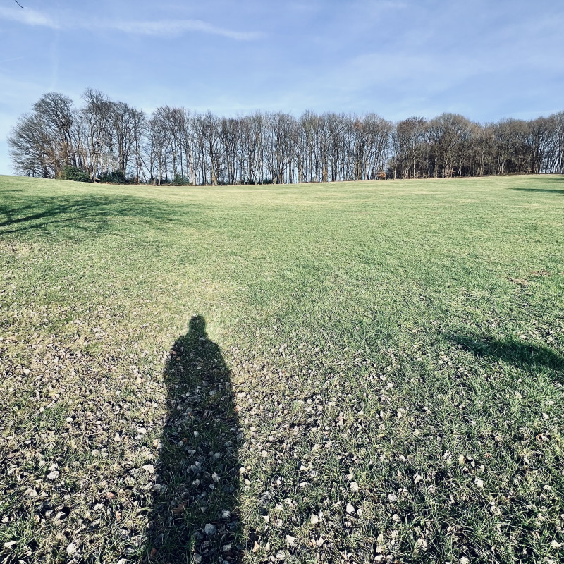 Der Schatten einer Personauf einer Wiese, im Hintergrund blattlose Bäume.