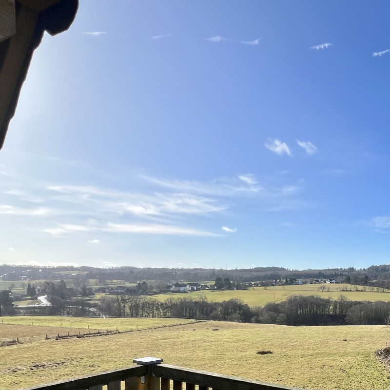Blick über Felder mit einigen Bäumen, blauer Himmel mit wenigen Wolken.