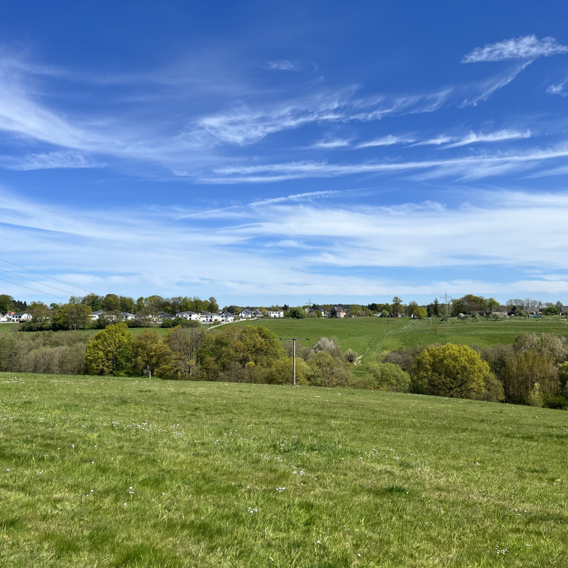Blauer Himmel über grünen Wiesen und einer Baumreihe in der Mitte des Bildes. Im Hintergrund ist ein Dorf zu sehen.