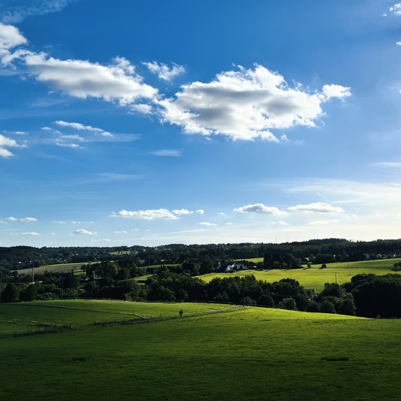 Blauer Himmel mit vereinzelnden Wolken über grünen Wiesen und Wäldern. 